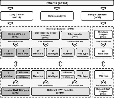 Bronchial Washing Fluid Versus Plasma and Bronchoscopy Biopsy Samples for Detecting Epidermal Growth Factor Receptor Mutation Status in Lung Cancer